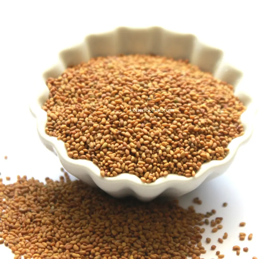 Food-grade sprouting alfalfa seed, Kohenoor International
