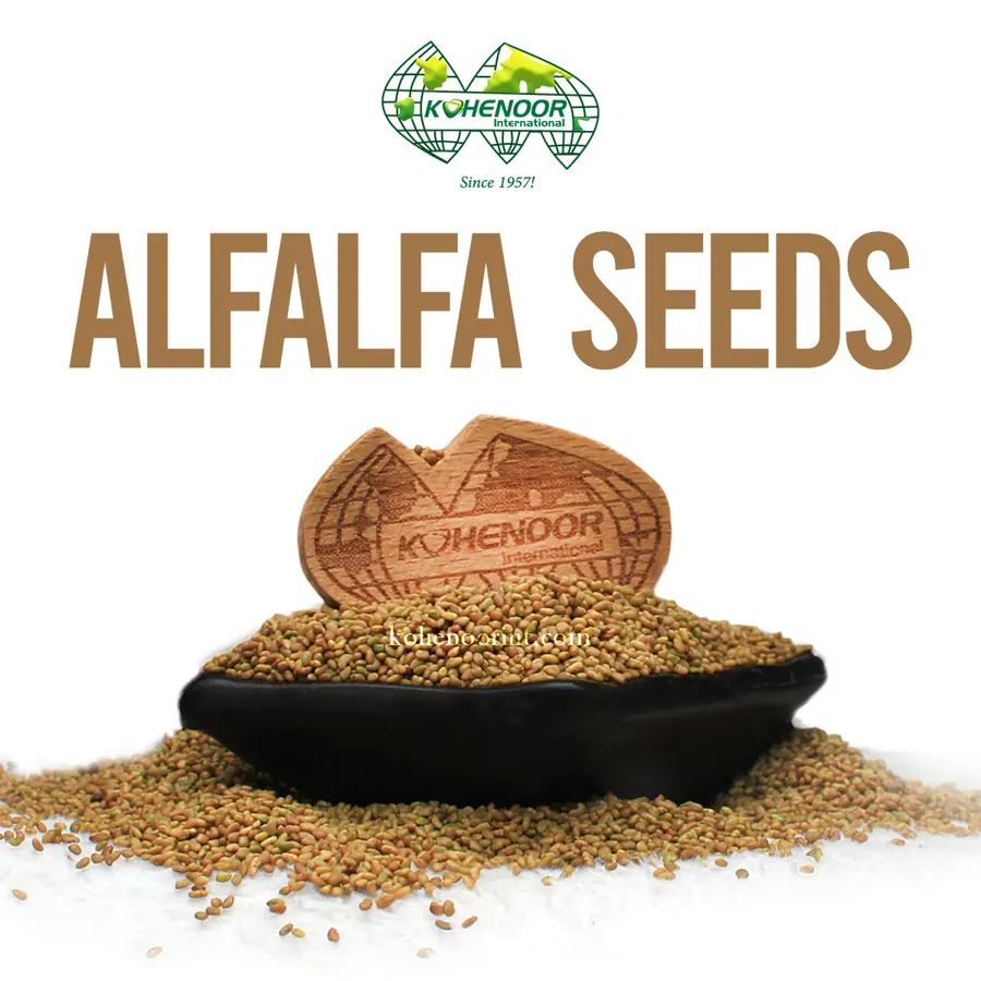 Alfalfa seed, Pakistan origin, cleaned KN92 lot