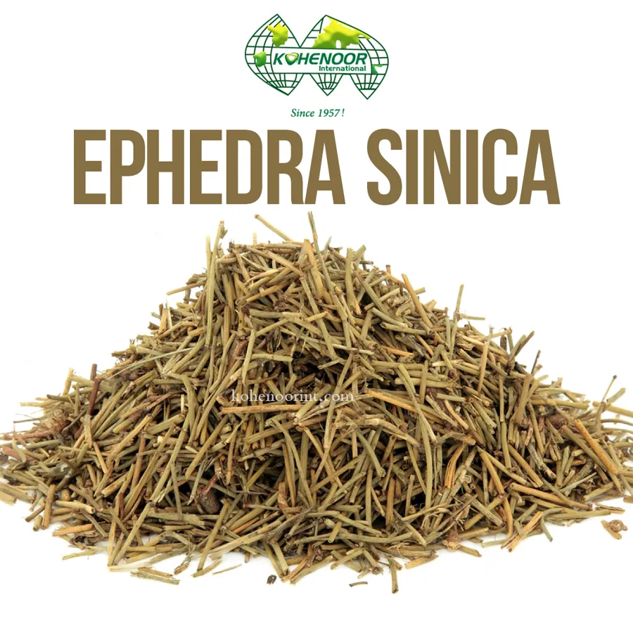 Dried ephedra (ma huang) stems, Pakistan origin