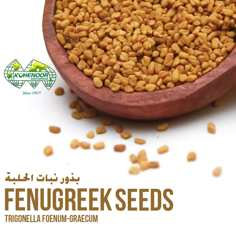 Fenugreek seed, bold grade, Pakistan origin