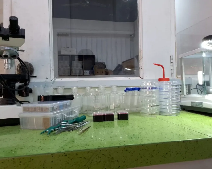 Purity analysis bench at Kohenoor seed laboratory