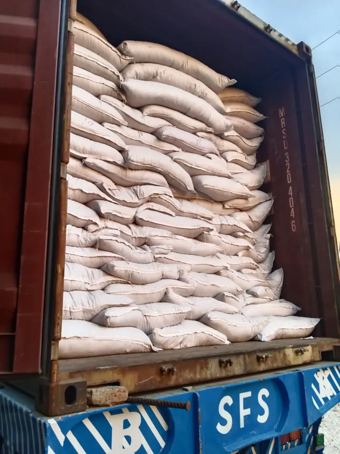 20ft container being loaded with 25 kg seed bags at Kohenoor's warehouse
