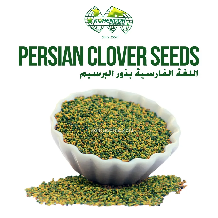 Berseem clover seed, Pakistan origin