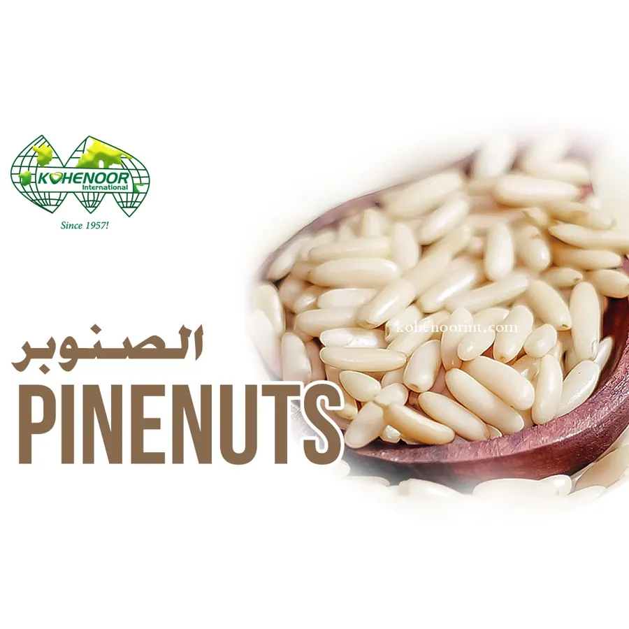 Chilgoza pine nuts, in-shell and kernels, Pakistan origin