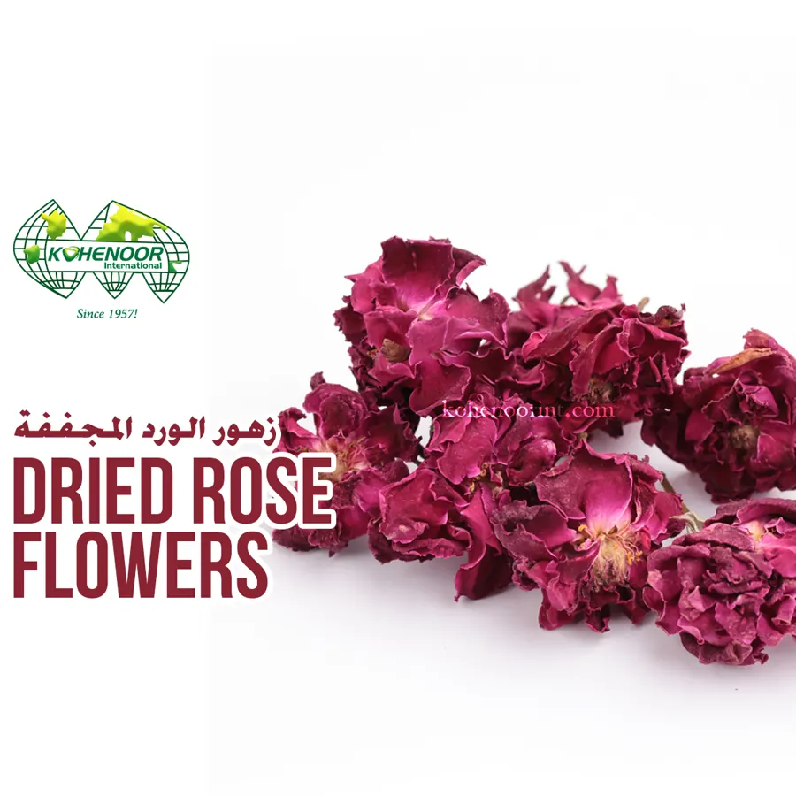 Rosa damascena flowers at harvest in Punjab